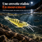 Coffret de leurres crevette lumineux — Pour votre prochaine sortie à la tombée du jour