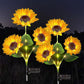 ☀️Lampes de jardin solaires LED en forme de tournesol