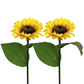 ☀️Lampes de jardin solaires LED en forme de tournesol