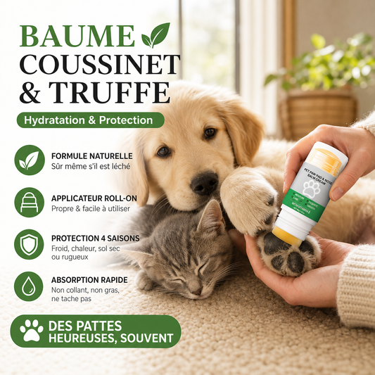 🎁 Un acheté, un offert ! 🐶 Crème hydratante pour les pattes de votre animal — un soin pratique pour rendre les pattes de votre compagnon douces et lisses