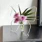 🦋 Vase papillon transparent – en plastique cristallin, avec une base stable. Parfait pour les fleurs, la décoration de table et les cadeaux ! ✨💐