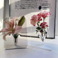 🌹 50 % DE RÉDUCTION MAINTENANT ! 🖼️ Vase à fleurs transparent en forme de cadre photo – Fixation murale et gain de place – Design unique, parfait pour les fleurs séchées ou fraîches – Décoration élégante pour la maison ou le bureau ✨
