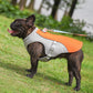 💗DERNIER JOUR DE VENTE ! 50 % DE RÉDUCTION ⚡Plus de 50 000 vendus !!🐾🐕 Protéine rafraîchissante pour chiens pour l’été 🐕‍🦺💦