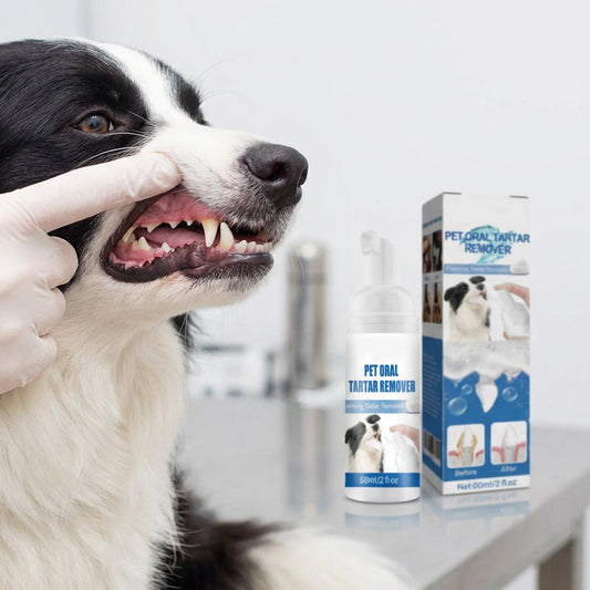 🐾OFFRE : 2 ACHETÉS, 1 OFFERT🦷Mousse Dentaire Détartrante pour Animaux – Formule Végétale, Haleine Fraîche 12h, 60 ml, Bouteille 2-3