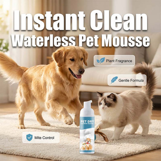 💐50% DE RÉDUCTION ! Mousse Douce pour Chiens & Chats – Sans Rinçage, Formule Apaisante 🐶🌸【Offre Limitée】
