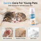 💐50% DE RÉDUCTION ! Mousse Douce pour Chiens & Chats – Sans Rinçage, Formule Apaisante 🐶🌸【Offre Limitée】