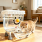 🐶50% DE RÉDUCTION✨Distributeur d’eau pour animaux – 3L/5L, gravité & facile à nettoyer – Eau fraîche à volonté, idéal pour chiens, chats ou plusieurs animaux💧