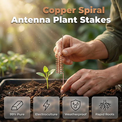 Tuteurs pour plantes à antenne spirale en cuivre