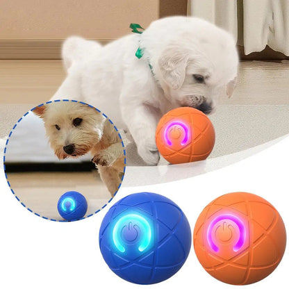 🥳 GRANDE PROMO 2026 🥳 💞 Plus de 50 000 exemplaires vendus ! 👵❤️ -50 % DE RÉDUCTION ! Bestseller : balle rebondissante interactive intelligente pour animaux domestiques