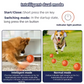 🥳 GRANDE PROMO 2026 🥳 💞 Plus de 50 000 exemplaires vendus ! 👵❤️ -50 % DE RÉDUCTION ! Bestseller : balle rebondissante interactive intelligente pour animaux domestiques