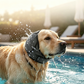 🐾🐶【Promotion】🏊‍♂️Cache-oreilles pour chiens contre l'anxiété et l'eau | Néoprène | Insonorisant🔇💧
