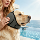 🐾🐶【Promotion】🏊‍♂️Cache-oreilles pour chiens contre l'anxiété et l'eau | Néoprène | Insonorisant🔇💧
