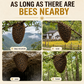 Spray attirant portable pour essaims d'abeilles