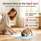 Spray d'apprentissage de la propreté pour chiens et chats