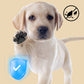 Lot de 4 coussinets anti-dérapants, imperméables et jetables pour pattes de chien
