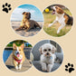 Lot de 4 coussinets anti-dérapants, imperméables et jetables pour pattes de chien