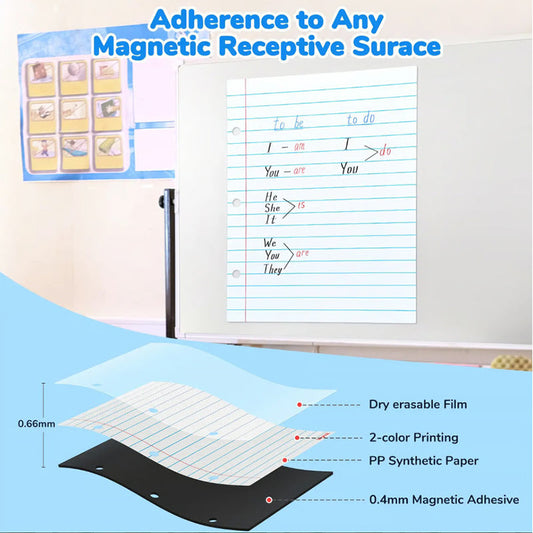 Tableau blanc magnétique effaçable à sec avec lignes