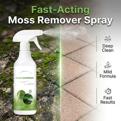 Spray anti-mousse et anti-algues pour extérieur
