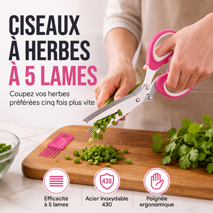 Ciseaux à herbes de cuisine à 5 lames