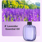 🔥‑50% PROMO🔥Diffuseur d’aromathérapie automatique 🎐Silencieux, diffusion régulière, ambiances parfumées chez vous ✨
