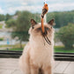 💕Ensemble de jouets interactifs pour chats avec simulation d'oiseau