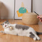 💕Ensemble de jouets interactifs pour chats avec simulation d'oiseau