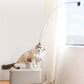 💕Ensemble de jouets interactifs pour chats avec simulation d'oiseau