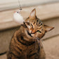 💕Ensemble de jouets interactifs pour chats avec simulation d'oiseau