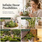 🌿 Tuteurs pour plantes phosphorescents – 50 % de réduction ! 7 couleurs, résine de qualité supérieure, crochets en fer robustes – une décoration de jardin magique. 🌙