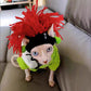 Joli chapeau tricoté pour animaux de compagnie