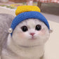 Joli chapeau tricoté pour animaux de compagnie