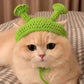 Joli chapeau tricoté pour animaux de compagnie