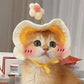 Joli chapeau tricoté pour animaux de compagnie