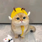 Joli chapeau tricoté pour animaux de compagnie