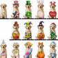 🎄🎃 Limited Time Deal – Interchangeable Wooden Seasonal Animal Decor 🐶✨ | 26-Piece Magnetic Holiday Outfit Set for Year-Round Home Display