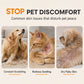 Spray apaisant pour la peau des animaux