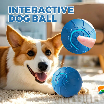Balle interactive pour chien