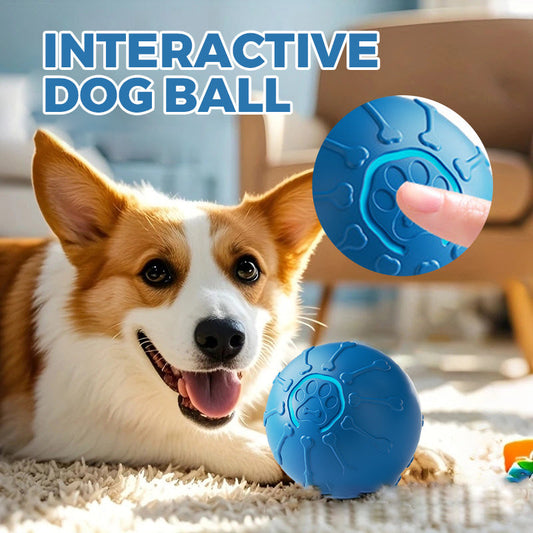 Balle interactive pour chien