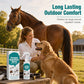 Spray antiparasitaire et insecticide naturel pour animaux de compagnie