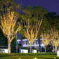 Guirlandes lumineuses décoratives solaires