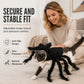 Déguisement d’araignée pour animal d’Halloween, peluche effrayante, tenue de transformation pour chien et chat