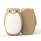 Lot de 2 chauffe-mains magnétiques rechargeables en forme d'ourson